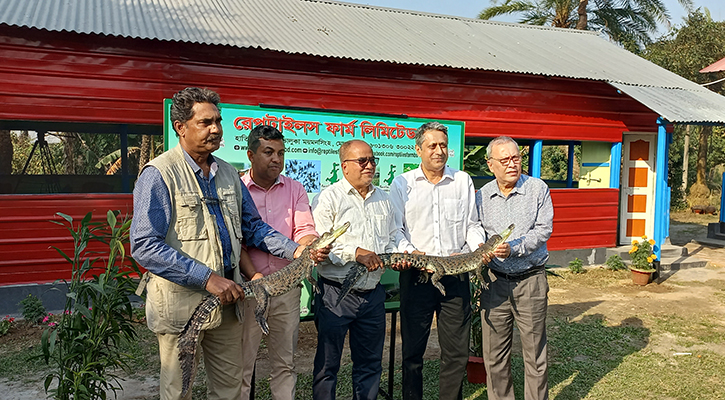 পর্যটকদের জন্য উন্মুক্ত হলো দেশের প্রথম বাণিজ্যিক কুমির খামার